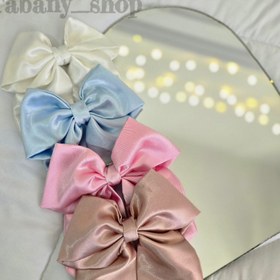 تصویر پاپیون گیره فرانسوی 