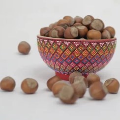 تصویر فندق خام خشک شده اشکورات 