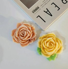 تصویر رز ژور نالی با برگ 