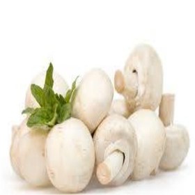 تصویر قارچ فله 