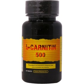 تصویر ال کارینتین 500 دانا DAANA L-CARNITINE 500