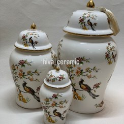 تصویر جینجرجار سیمرغ 