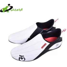 تصویر کفش تکواندو طرح moto moto design taekwondo shoes