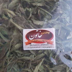 تصویر برگ اکالیپتوس 50 گرم 