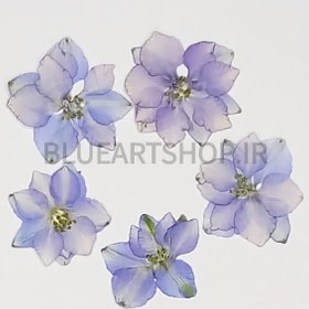 تصویر گل خشک ده پر بنفش 5عددی 