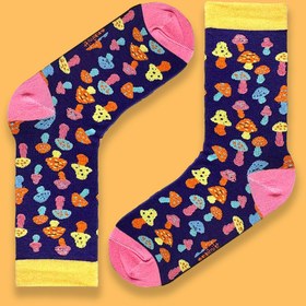 تصویر قارچ بادمجونی 