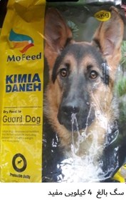 تصویر غذا خشک سگ بالغ 4 کیلویی مفید MOFEED GUARD DOG