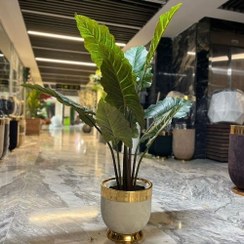 تصویر درختچه باباآدم مصنوعی 