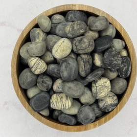 تصویر جاسپر تمساح 