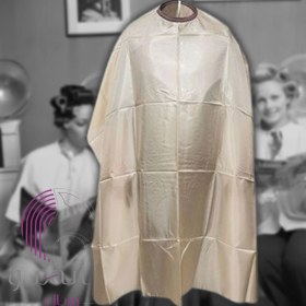 تصویر پیشبند مشتری پشت نقره‌ای 