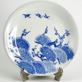 تصویر بشقاب آریتا 