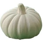 تصویر کدو تنبل 