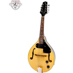 تصویر ماندولین Valencia-MD30VT-CE 