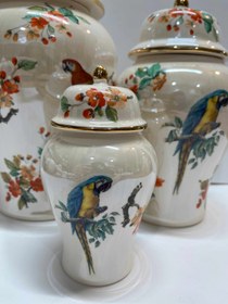 تصویر جینجرجار طوطی صدفی 