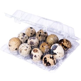 تصویر تخم بلدرچین محلی تازه 