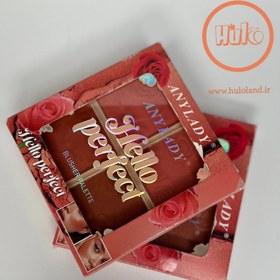 تصویر رژگونه پودری انی لیدی 