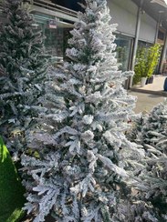 تصویر درخت کاج برفی - ۱۵۰ سانت 