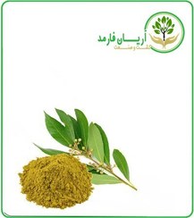 تصویر عصاره برگ بو خشک (پودری) 