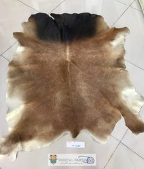 تصویر پوست طبیعی گاو تزنیِِینی 23.5 پا cow skin