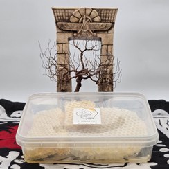 تصویر عسل طبیعی ۱ کیلویی 