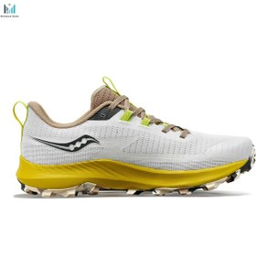 تصویر کفش ساکونی پرگرین 13 مدل Saucony Peregrine 13 S20838-85 