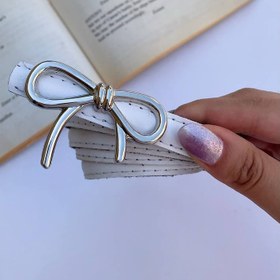 تصویر سگک پاپیونی 