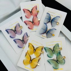 تصویر گلسر پروانه ای 