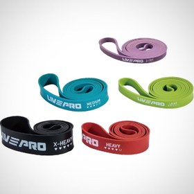 تصویر کش قدرتی لایو پرو 