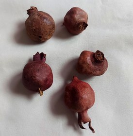 تصویر انار خشک طبیعی 