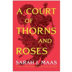 تصویر کتاب دادگاه خار و گل رز جلد ۱ معیار علم 