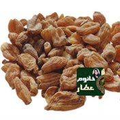 تصویر ثعلب مصری اصل ، ثعلب پنجه (۲۵گرم) 