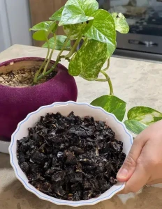 تصویر فروشگاه ادویه و خشکبار ماهک