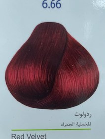 تصویر شامپو رنگ مارال شماره 6.66 رنگ ردولوت حجم ۲۰۰ میل Maral Color Shampoo No. 6.66 Red Velvet Volume 200 ml