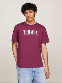 تصویر تیشرت مردانه تامی هیلفیگر اورجینال بنفش Tommy Hilfiger DM0DM18533VVK 