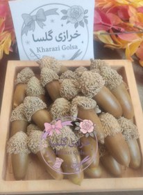 تصویر بلوط طبیعی تزئینی 