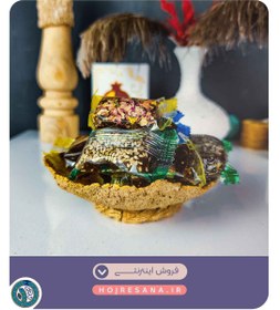 تصویر مسقطی انجیر 