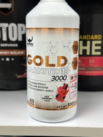 تصویر گلد کارنیتین 3000 وایکینگ فورس VIKING GOLD CARNITINE 3000 