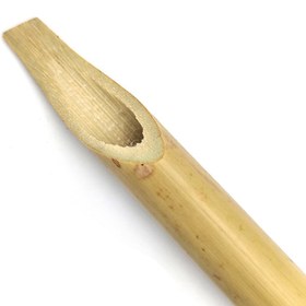 تصویر قلم جنوبی 