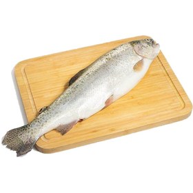 تصویر ماهی قزل آلا 1 کیلوگرم 