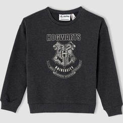 تصویر سویشرت لایسنس شده هری پاتر با فیت معمولی برند Defacto Regular Fit Harry Potter Licenced Sweatshirt