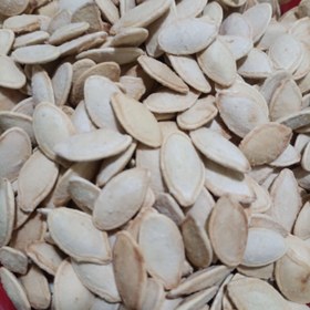 تصویر تخمه کدو نیم کیویی 