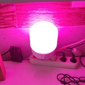 تصویر لامپ رشد گیاه 50 وات 