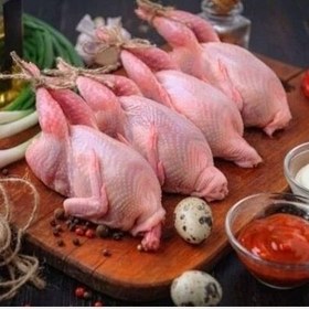 تصویر بلدرچین تازه ( کشتار روز ) 