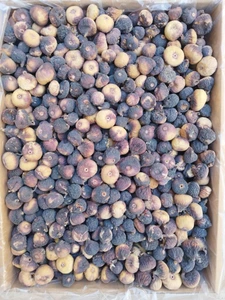 تصویر فروشگاه بازرگانی ایران انجیر