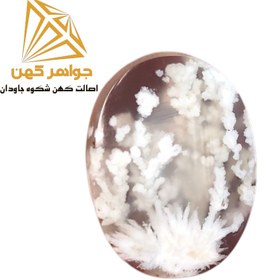 تصویر نگین شجر زمستانی (کد۷۱) 