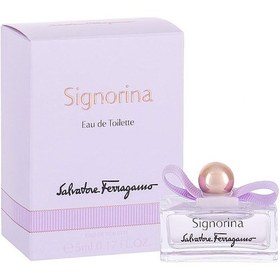 Signorina 5ml hotsell