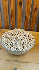 تصویر سویا آجیلی 