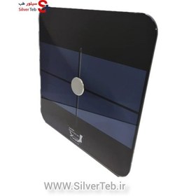 تصویر ترازوی دیجیتال اکیومد مدل BZ1311 Accumed Digital Scale Model BZ1311