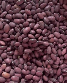تصویر لوبیا قرمز زنجان 