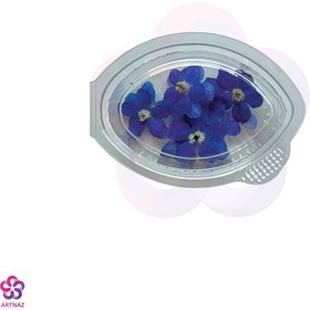 تصویر گل خشک شکوفه آبی 